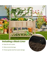 Givimo Raised Garden Bed Elevated Wooden Planter Box with Trellis