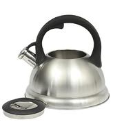 Mr. Coffee Hartbay Large 2.4 Quart Stainless Steel Whistling Tea Kettle