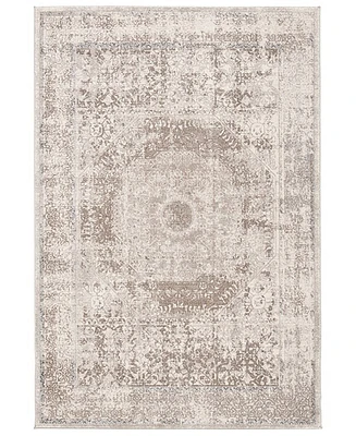 Safavieh Sofia SOF365B 8'x10' Area Rug