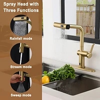 Casainc Single Handle Pull Out Kitchen Faucet with Touchless Sensor