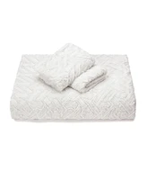 Chanasya Premium Soft Cloud Faux Fur Duvet Cover Bedding Set Queen - 3 Piece Combo Textured Embossed Fuzzy Velvet Mink Bedcover