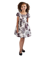 Rare Editions Toddler & Little Girls Burnout Organza Social Dress