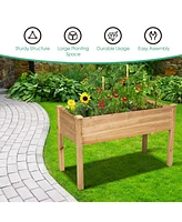 Wooden Raised Vegetable Garden Bed Elevated Grow Vegetable Planter