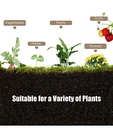 Raised Garden Bed Elevated Planter Box Wood for Vegetable Flower Herb
