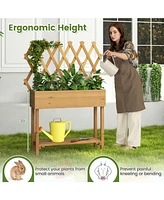 Skonyon Wooden Rolling Raised Garden Bed with Trellis and Storage Shelf