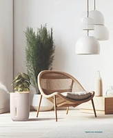 HoMedics Warm Cool Mist Humidifier with Small Planter