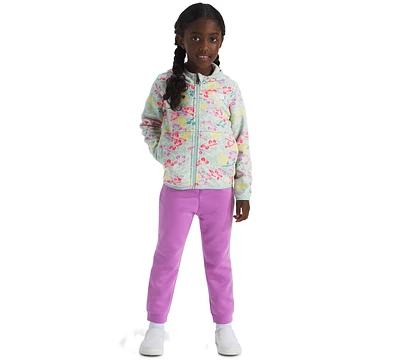 The North Face Toddler & Little Girls Glacier Full-Zip Hoodie