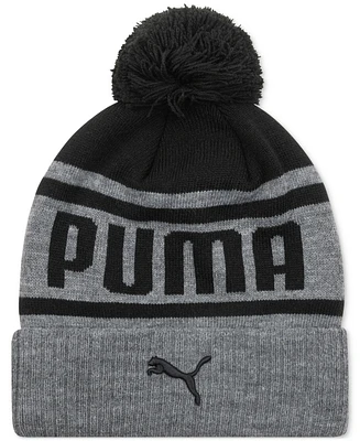 Puma Men's Frost Pom-Pom Beanie