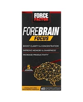 Force Factor Forebrain Focus