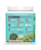 Sunwarrior Collagen Protein, Plant