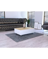 Depot E-shop Aran Lift Top Coffee Table, Storage Compartment