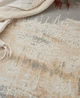 Calvin Klein CK005 Enchanting ECH02 5'3"x7'3" Area Rug