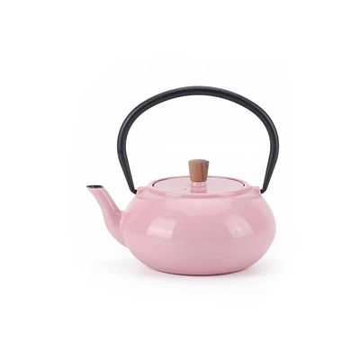 Minimal Enamelled Cast Iron Teapot