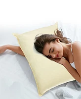 Cheer Collection Soft and Airy Cotton Kapok 2-Pack Pillows