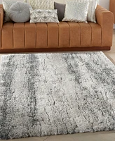 Nourison Home Dreamy Shag DRS01 4'x6' Area Rug