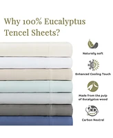 Aston and Arden Eucalyptus Sheet Set, (Full Bed Size), 1 Flat Sheet, Fitted 2 Pillowcases, Ultra Soft Fabric, Breathable Cooling, Eco-Fri