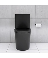 Matte Black Elongated One Piece Toilet Dual Flush 1.1/1.6 Gpf Water Saving Map 1000g, Matte Black