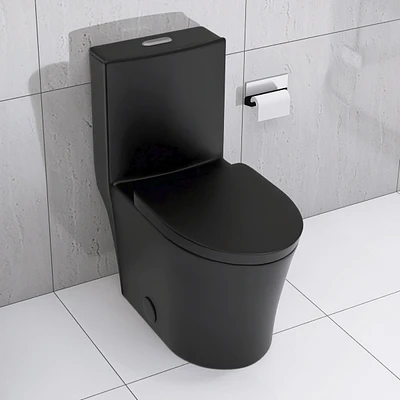 Matte Black Elongated One Piece Toilet Dual Flush 1.1/1.6 Gpf Water Saving Map 1000g, Matte Black