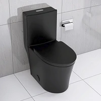 Matte Black Elongated One Piece Toilet Dual Flush 1.1/1.6 Gpf Water Saving Map 1000g, Matte Black