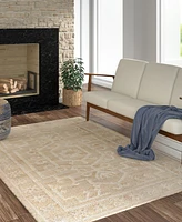 Lr Home Xanda Wil-570 2'x3' Area Rug