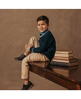 Hope & Henry Boys Organic Long Sleeve V-Neck Sweater