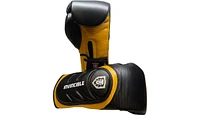 Amber Sports Invincible Fight Gear Professional Hook and Loop Leather Training Boxing Gloves v2.0