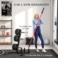 2-inch Weight Rack for Plates and 3 Bars, Olympic Weight Tree Bumper Plate Storage Holder, 660 lbs. Capacity, Black