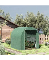 Simplie Fun 6' x 6' x 6' Tunnel Greenhouse Outdoor Walk-In Hot House with Roll-up Plastic Cover and Zippered Door, Steel Frame, Green