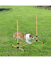 Streamdale Furniture 6 Piece Dog Agility Training Equipment with Hurdle Bag and Whistle, Orange and White