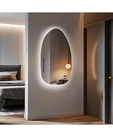 LuxenHome Asymmetrical Accent Wall Mirror with Lights