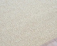 Exquisite Rugs Ferretti 5752 2'x3' Area Rug