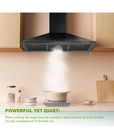 Flynama 36-in 450-cfm Convertible Black Wall-Mounted Range Hood