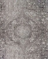 Feizy Sarrant 3967f Rug Collection