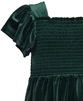 Bonnie Jean Toddler Girls Flutter Sleeved Smocked Stretch Velvet Dress
