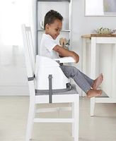 Ingenuity Baby Base 2-in-1 Booster Seat