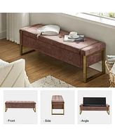 Hulala Home Modern Alberto Storage Bench with Metal Legs