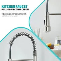 Flynama Single Handle Deck Mount Pull Down Sprayer Kitchen Faucet with Led in Brushed Nickel