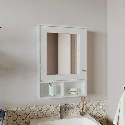Anamoose Medicine Cabinet with 5 Shelves, 1 Door, and 1 Mirror, White
