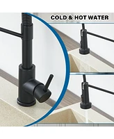 Flynama Single Hole Single-Handle Pull-Down Sprayer Kitchen Faucet In Matte Black