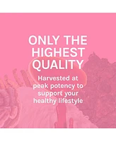 Host Defense Turkey Tail Extract