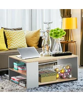 Gymax 2-Tier Coffee Table Sofa Side Table w/ 2 Storage Shelves Living Room Office Oak