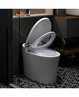 gaomon Smart Toilet,One Piece Bidet Toilet for Bathrooms,Elongated Toilet With Warm Water,Foot Sensor Operation,Dual Auto Flush,Heated Bidet Seat,Nigh