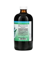 World Organic Liquid Chlorophyll Natural Mint 50 mg