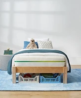 Brooklyn Bedding Helix Kids 8" Cushion Firm Mattress