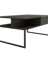 Depot E-Shop Atlanta Lift Top Coffee Table, One Shelf