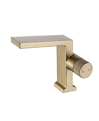 Mondawe Single Handle Single Hole Bathroom Faucet with Water Supply Hoses Brushed Gold