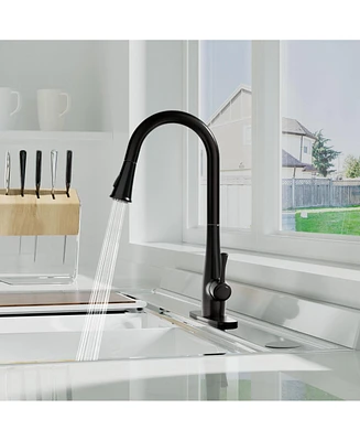 Lovmor Ovmor Orb Pull Down Sprayer Kitchen Faucet