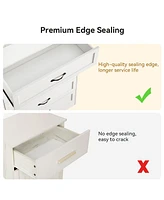 gaomon Modern Drawers Dresser, Chest of Drawers Closet Organizers and Storage Clothes