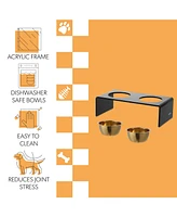 The Licker Store Keaton Small/Medium Modern Lucite Rectangular Elevated Pet Feeder with 20oz 2-Stainless Steel Bowls