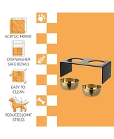 The Licker Store Keaton 7.5" Medium/Large Modern Lucite Rectangular Elevated Pet Feeder with 54oz 2-Stainless Steel Bowls